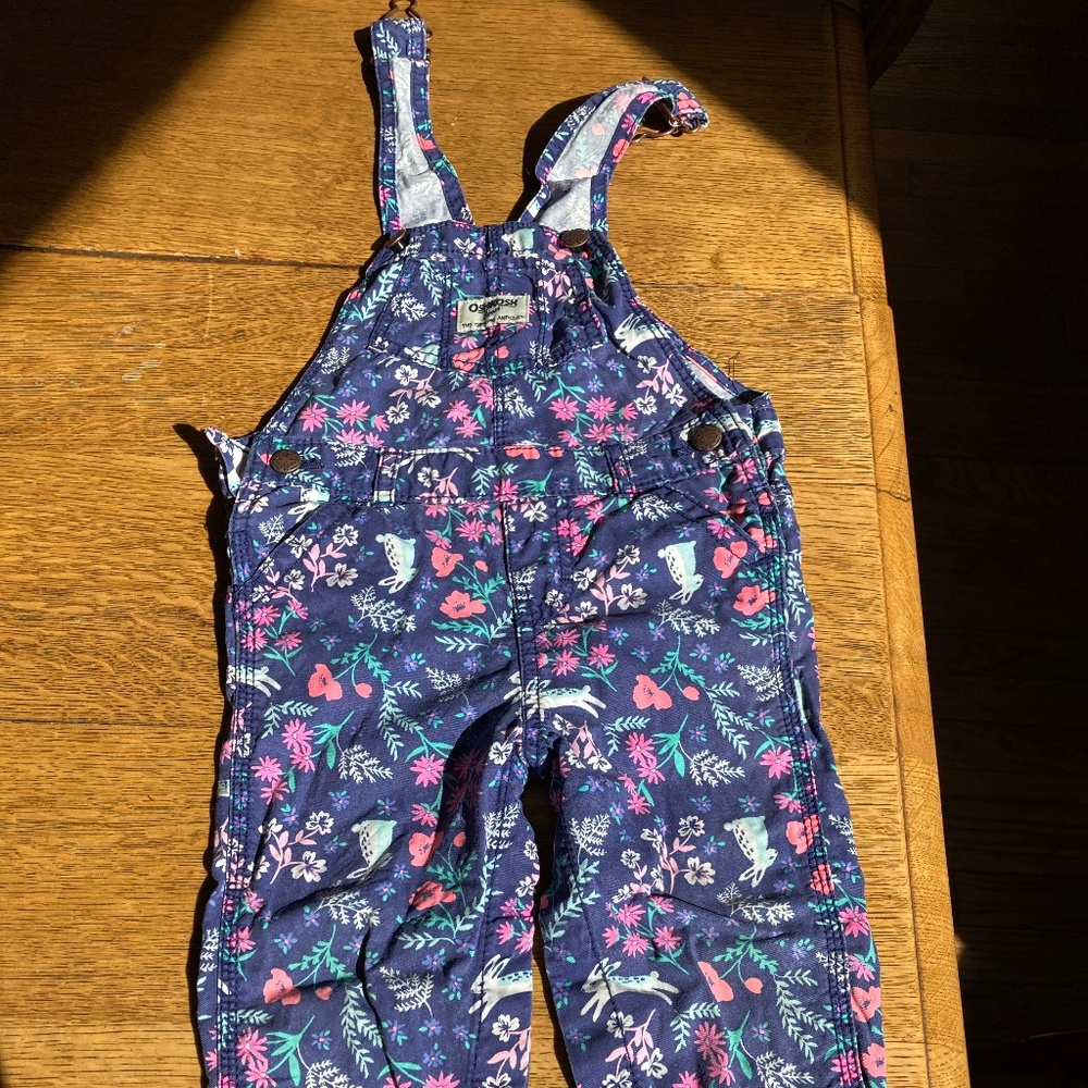 Osh kosh vestbak spring girls baby toddler overalls Easter bunny rabbit 18M